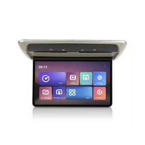 Roof display 133AD Ca MP5 Player
